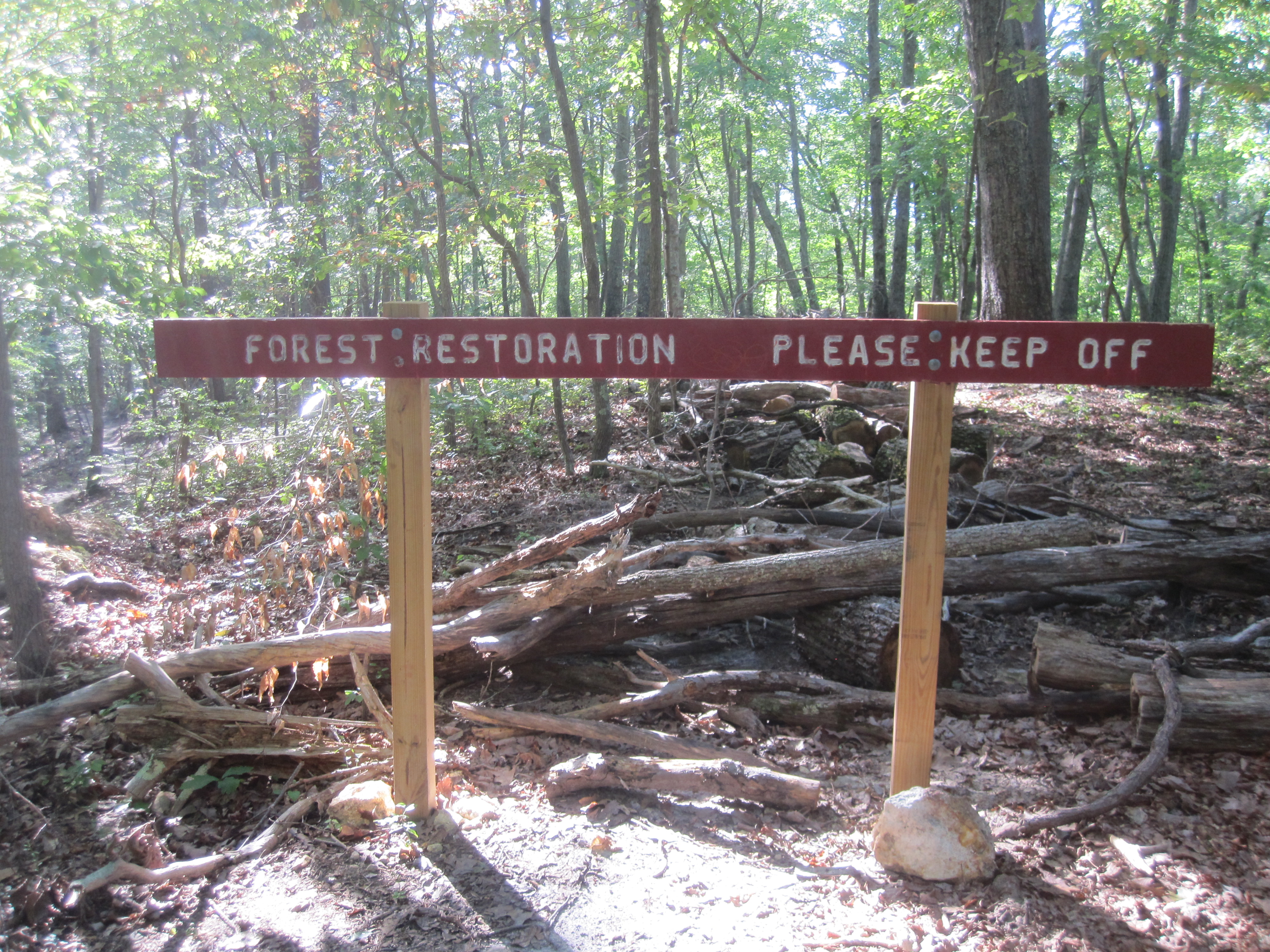 United States: Diverse Forest Strategies (image credits: wikimedia)