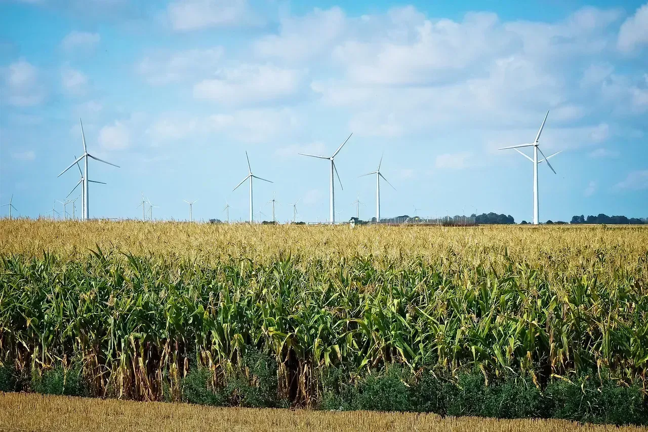 8. The Iowa and Illinois Corn Belt (Image Credits: Pixabay)