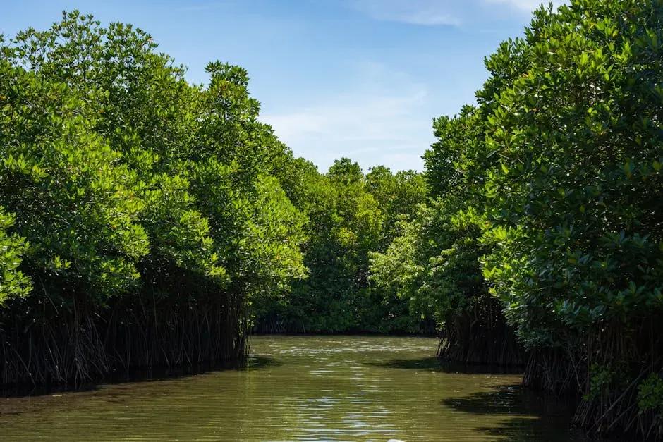 8. A Single Square Mile of Mangroves Stores as Much Carbon as 90,000 Cars Emit in a Year (Image Credits: Pexels)