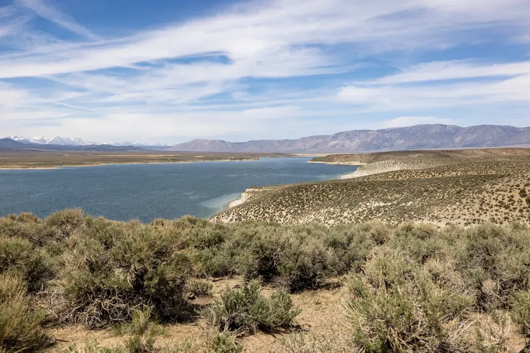 7. Owens Lake, California (Image Credits: Unsplash)