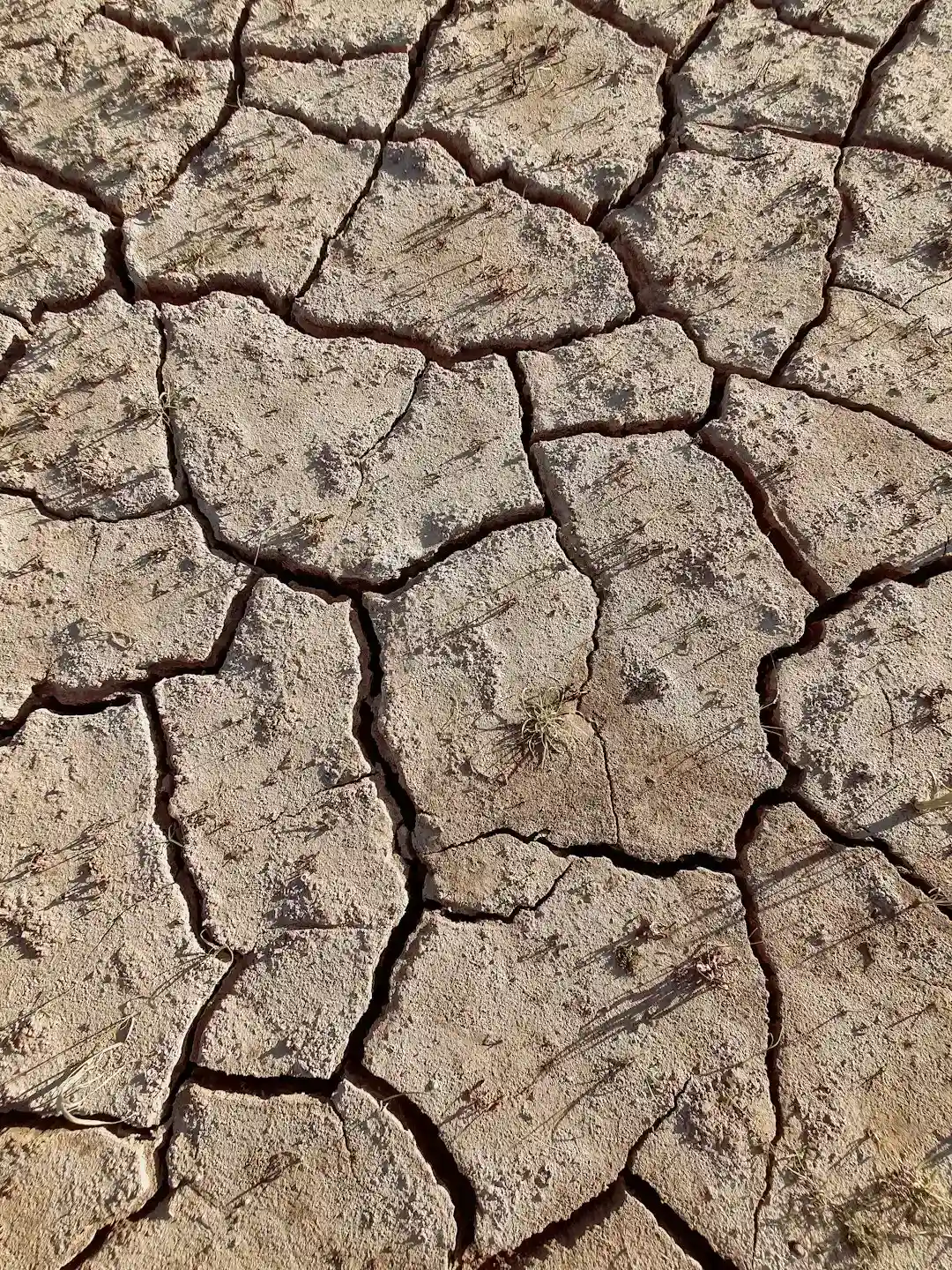 Droughts have become measurably more frequent and longer (Image Credits: Unsplash)