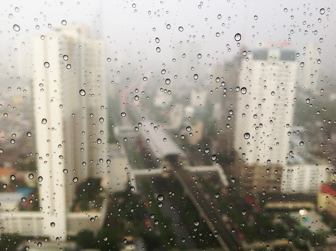 From Light Drizzle to Heavy Downpours (image credits: unsplash)