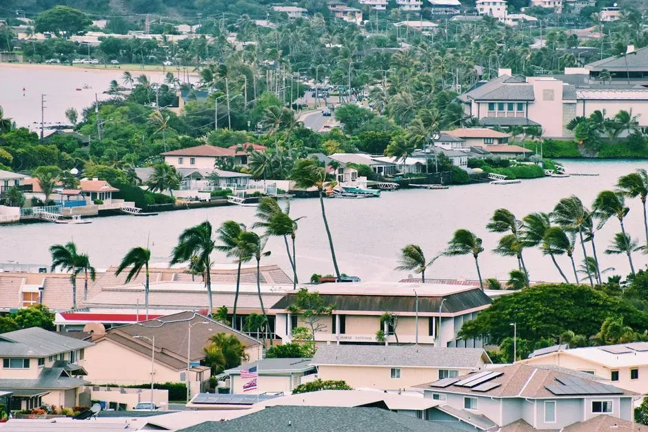 What comes next as Lowell moves past Hawaii (Image Credits: Pexels)
