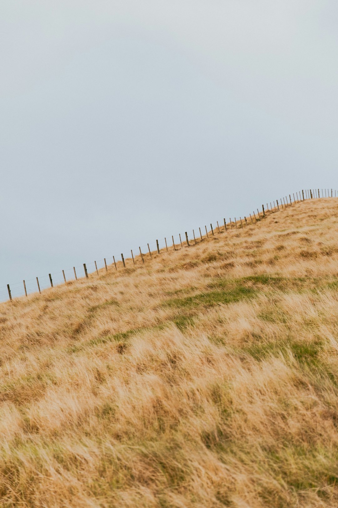 Droughts Are Driving Up Produce Prices (image credits: unsplash)