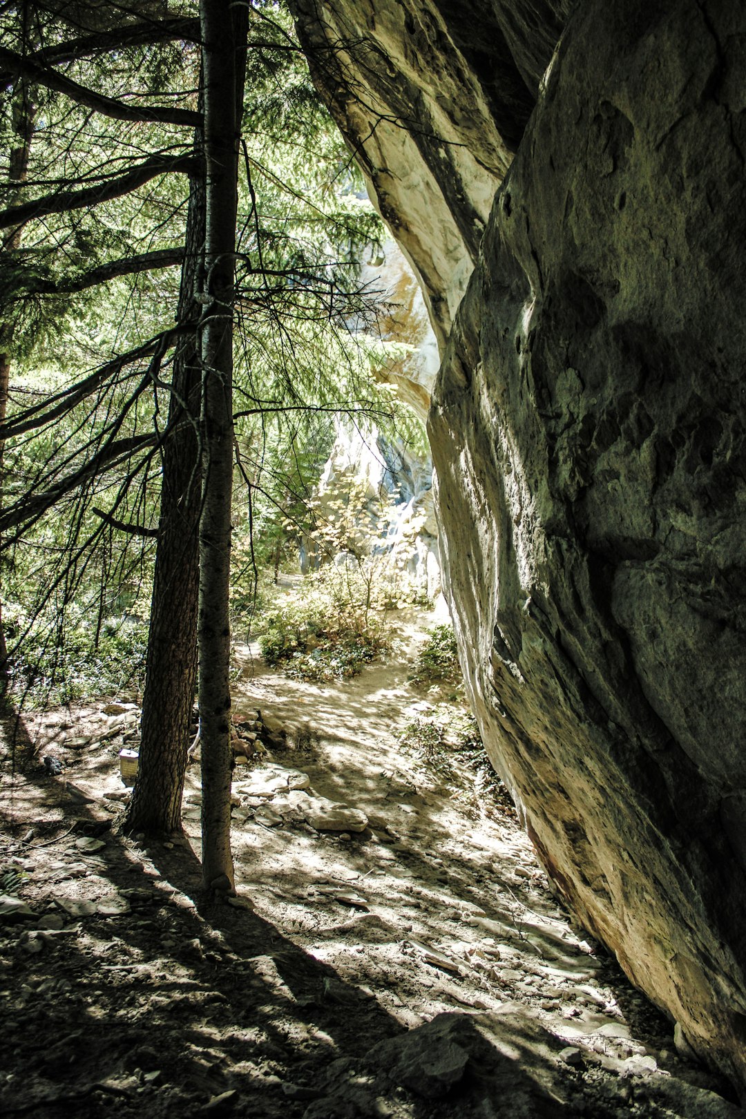 The Science Behind Stone Formation (image credits: unsplash)
