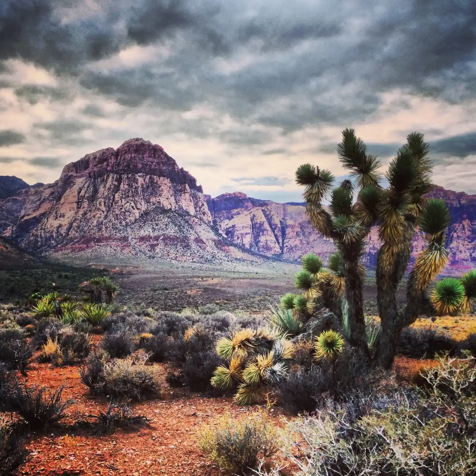 Nevada's Claim to the Driest Crown (IMG_6716, CC BY 2.0)