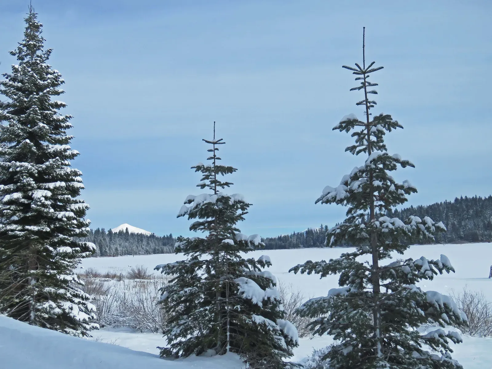 Washington (Snow at Cascade-Siskiyou National Monument, CC BY 2.0)