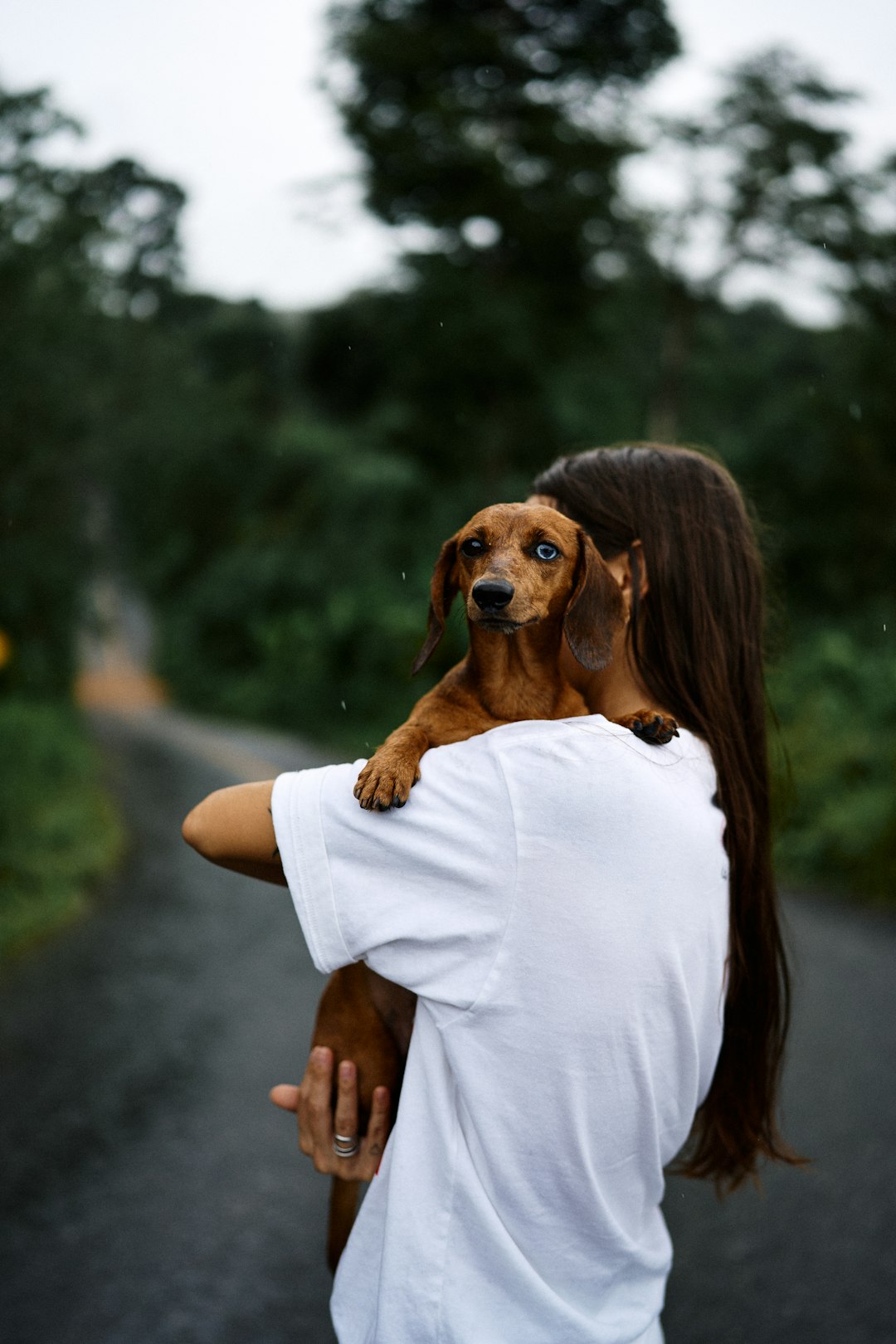 The Future of Human-Dog Relationships (image credits: unsplash)