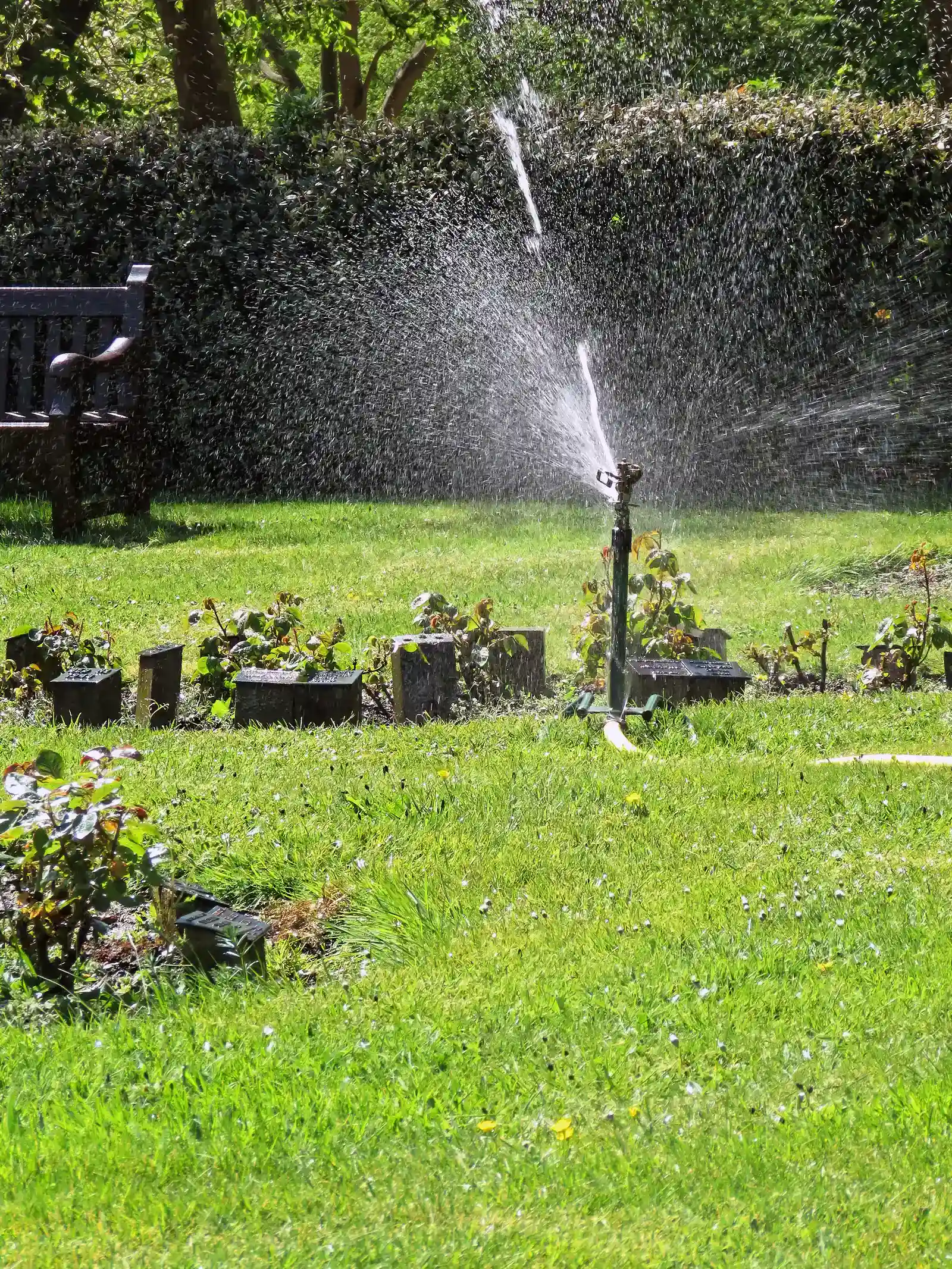 9 Water Conservation Laws Still Active Across U S States During 9 Water Conservation Laws Still Active Across U S States During