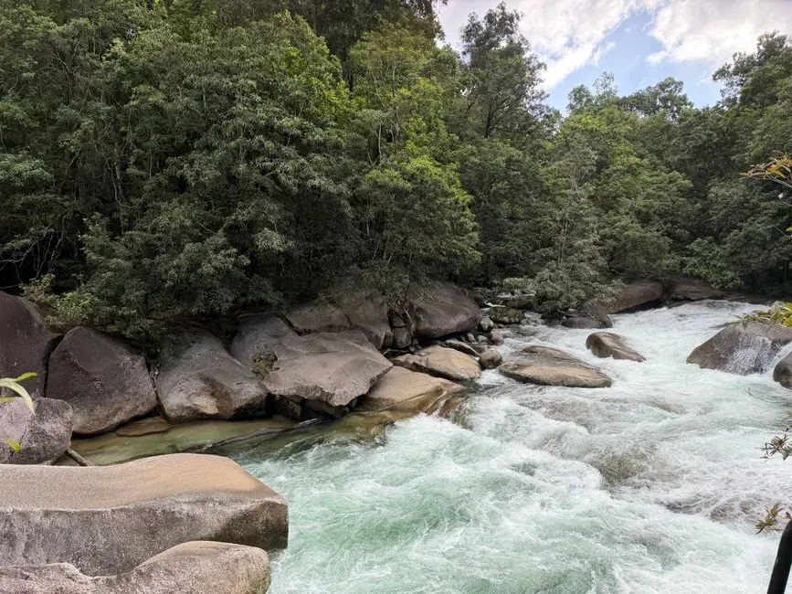 10. The Daintree Rainforest (Image Credits: Pexels)
