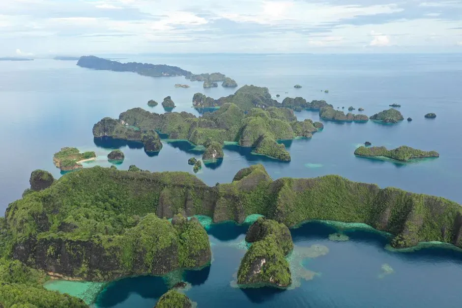 Palau: an entire nation's waters as a no catch zone (Image Credits: Pexels)