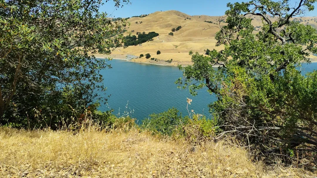 2. Reservoirs and rivers are sitting at historic lows (Image Credits: Unsplash)