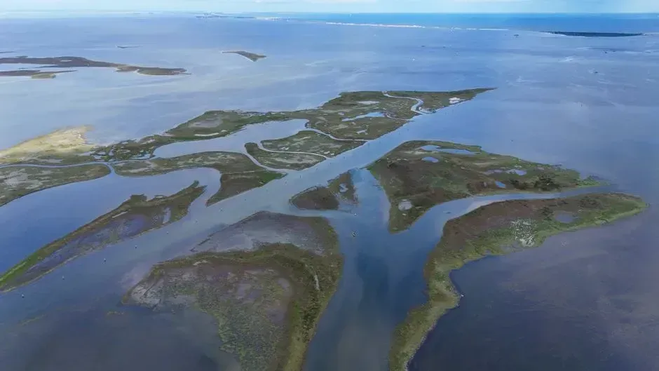 Isle de Jean Charles, Louisiana (Image Credits: Pexels)