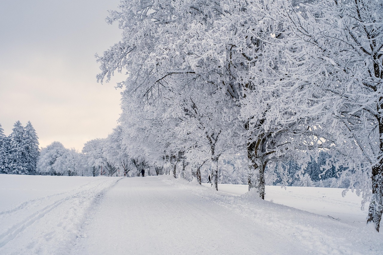 Recent Cold Snaps in the U.S.: A Reality Check (image credits: pixabay)