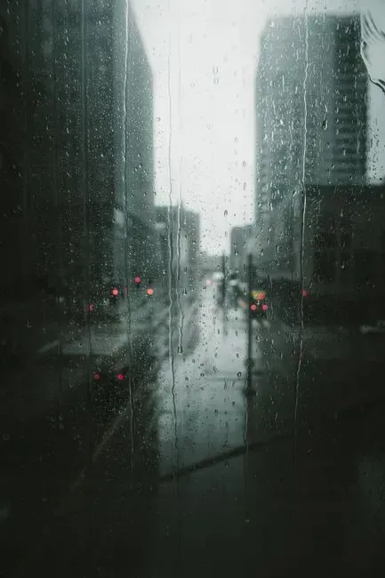 Rainfall that looked normal but wasn't enough (Image Credits: Pexels)