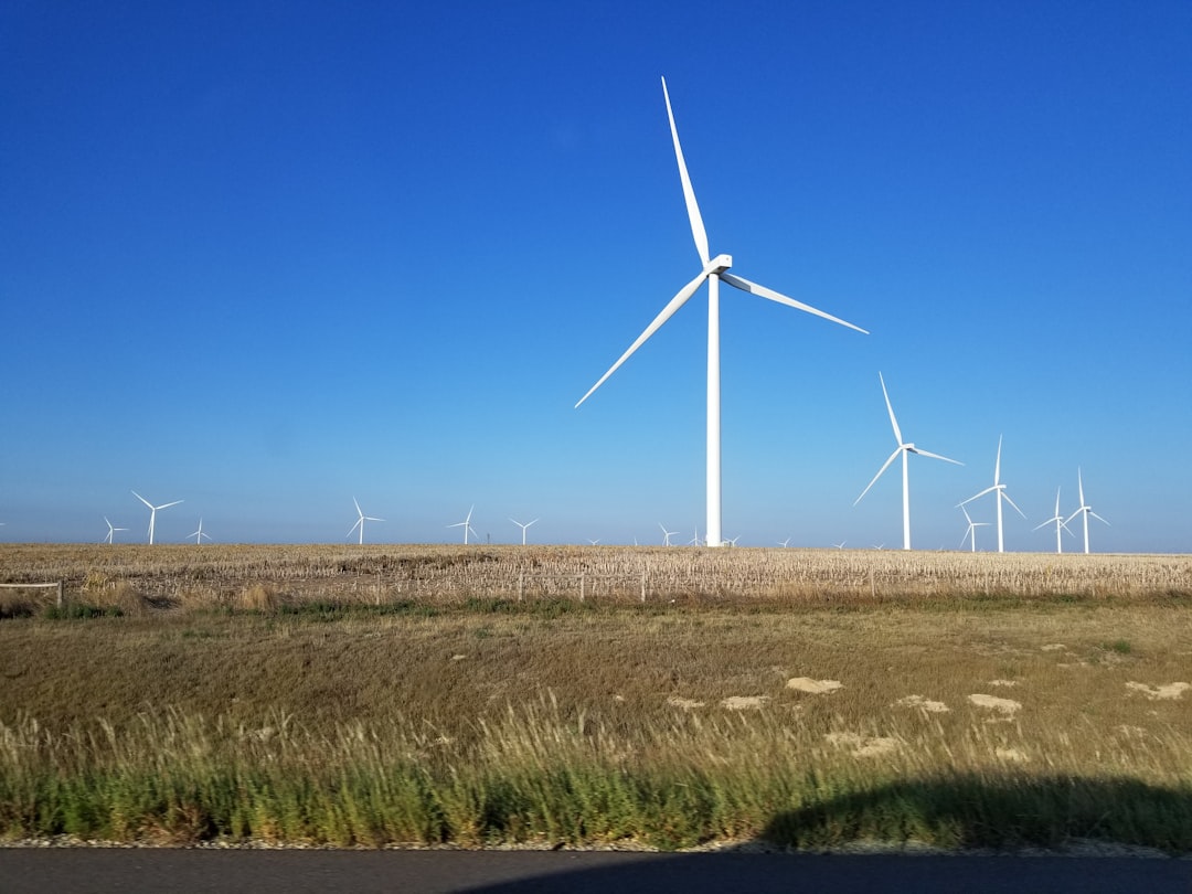 Texas (image credits: unsplash)