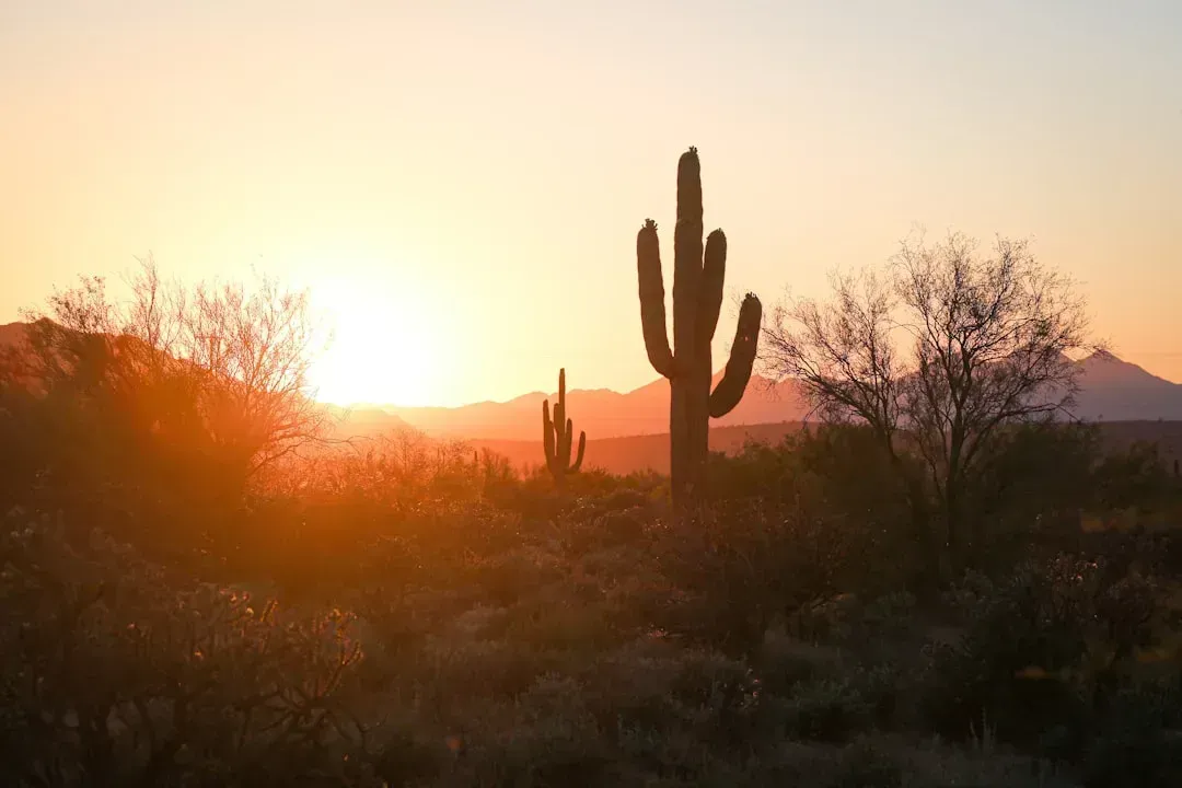 The small Arizona town that technically beats everyone (Image Credits: Unsplash)