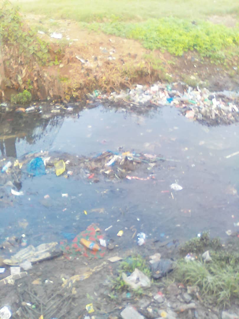 Contaminated Waterways: Release of Organic Matter and Pollutants (image credits: wikimedia)