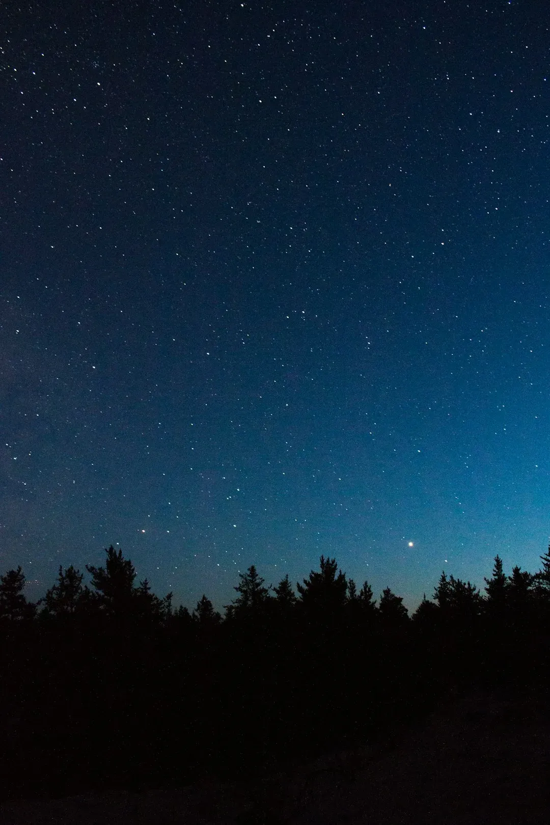 Regulators and astronomers push for guardrails (Image Credits: Unsplash)