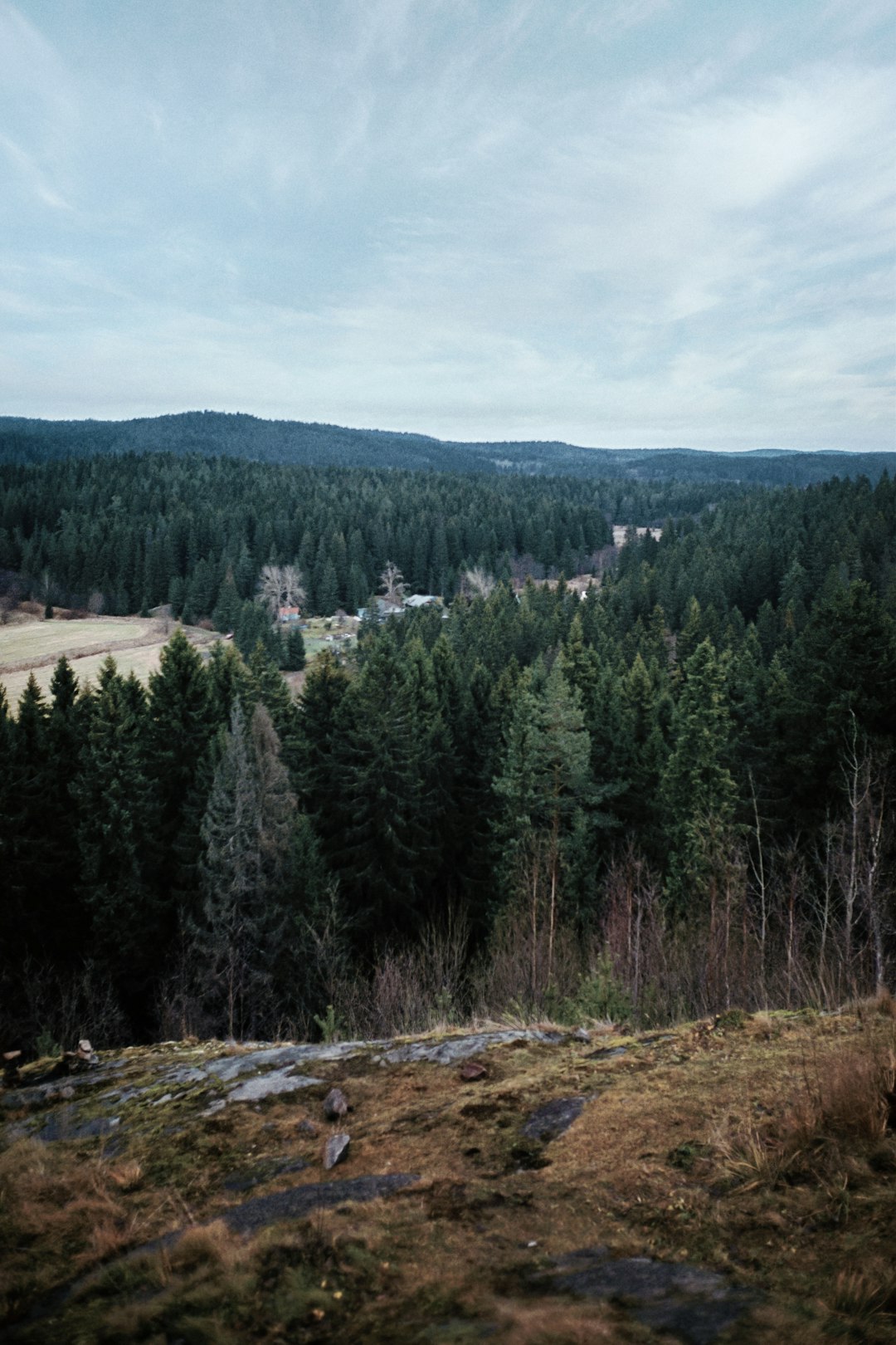 Community-Centered Stewardship (image credits: unsplash)