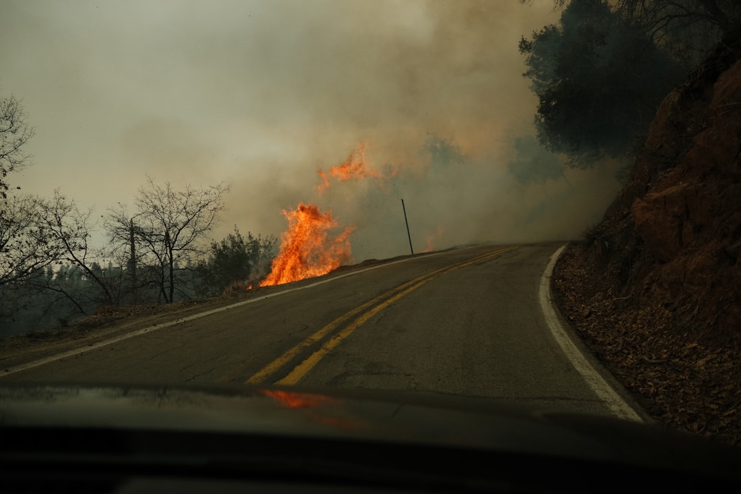U.S. Leads in Insured Damages (image credits: unsplash)