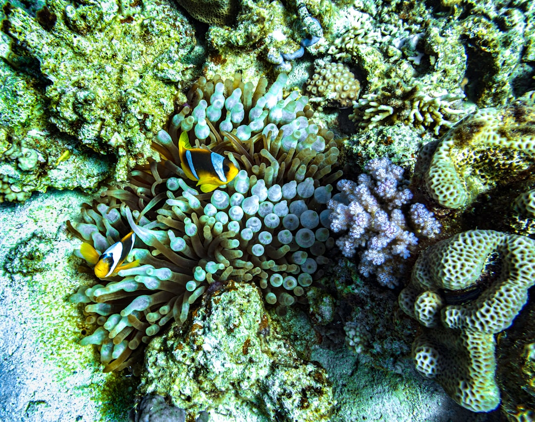 The Economic Tsunami Nobody Talks About (image credits: unsplash)