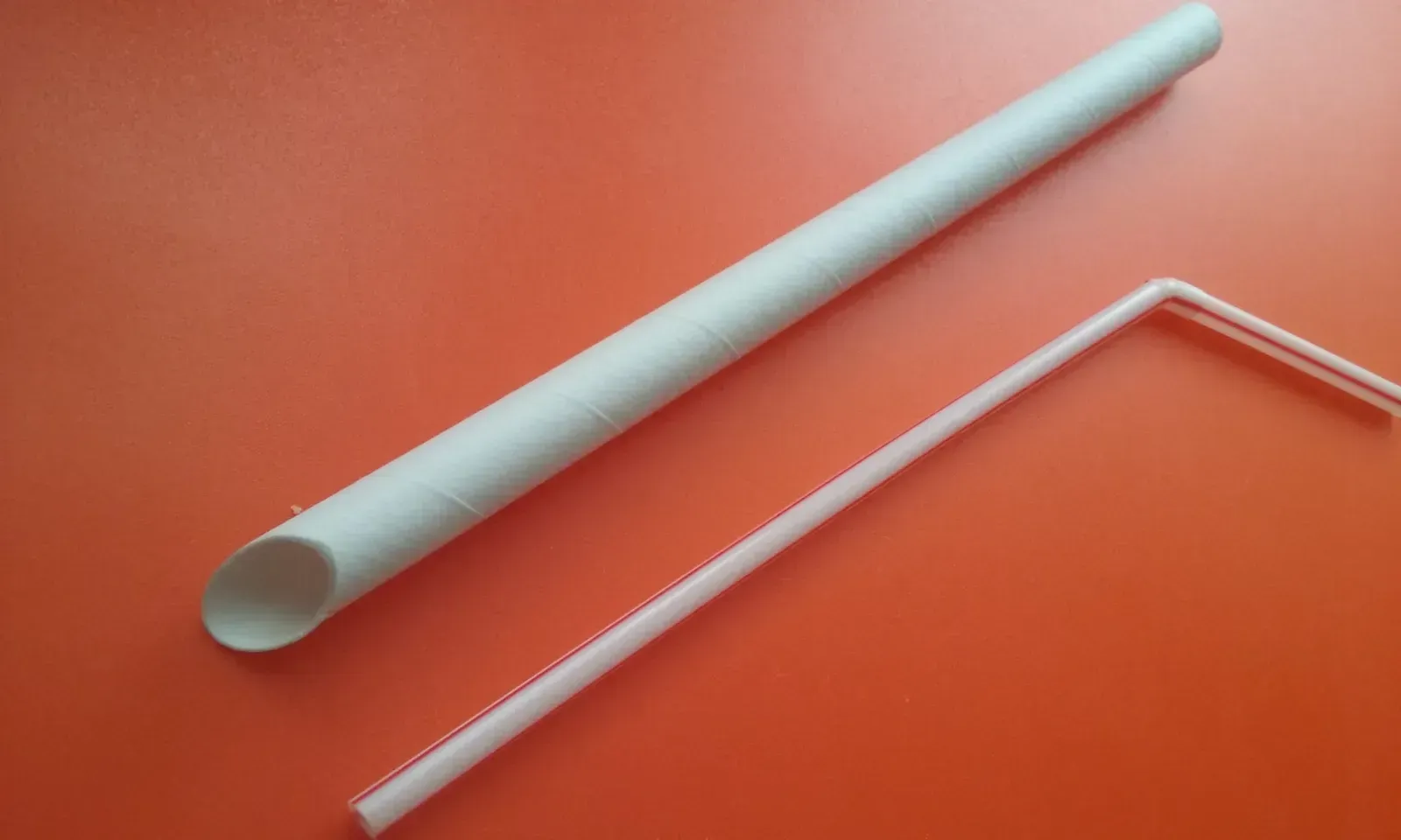 7. Obsessing Over Paper Straws While Ignoring Bigger Choices (Image Credits: By WrS.tm.pl, Public domain)