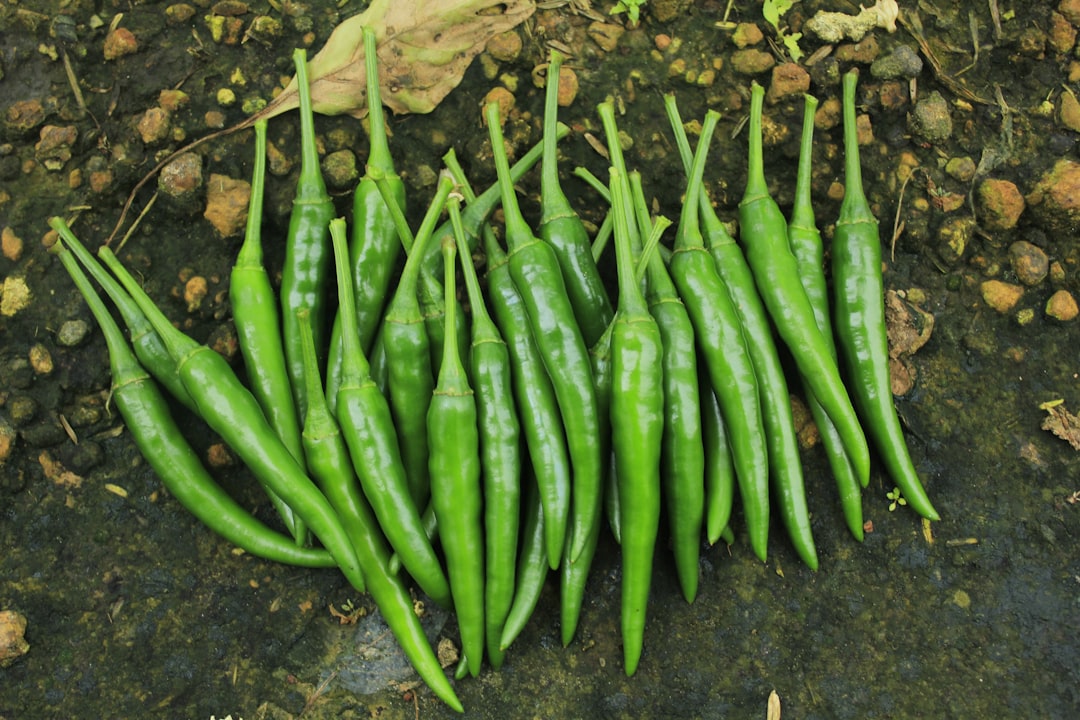 Crop Rotation: Breaking the Monoculture Trap (image credits: unsplash)