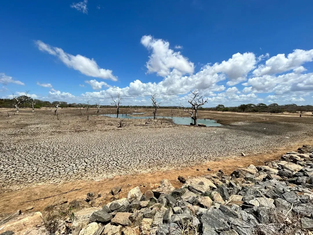 Land use decisions quietly set the stage for drought (Image Credits: Unsplash)