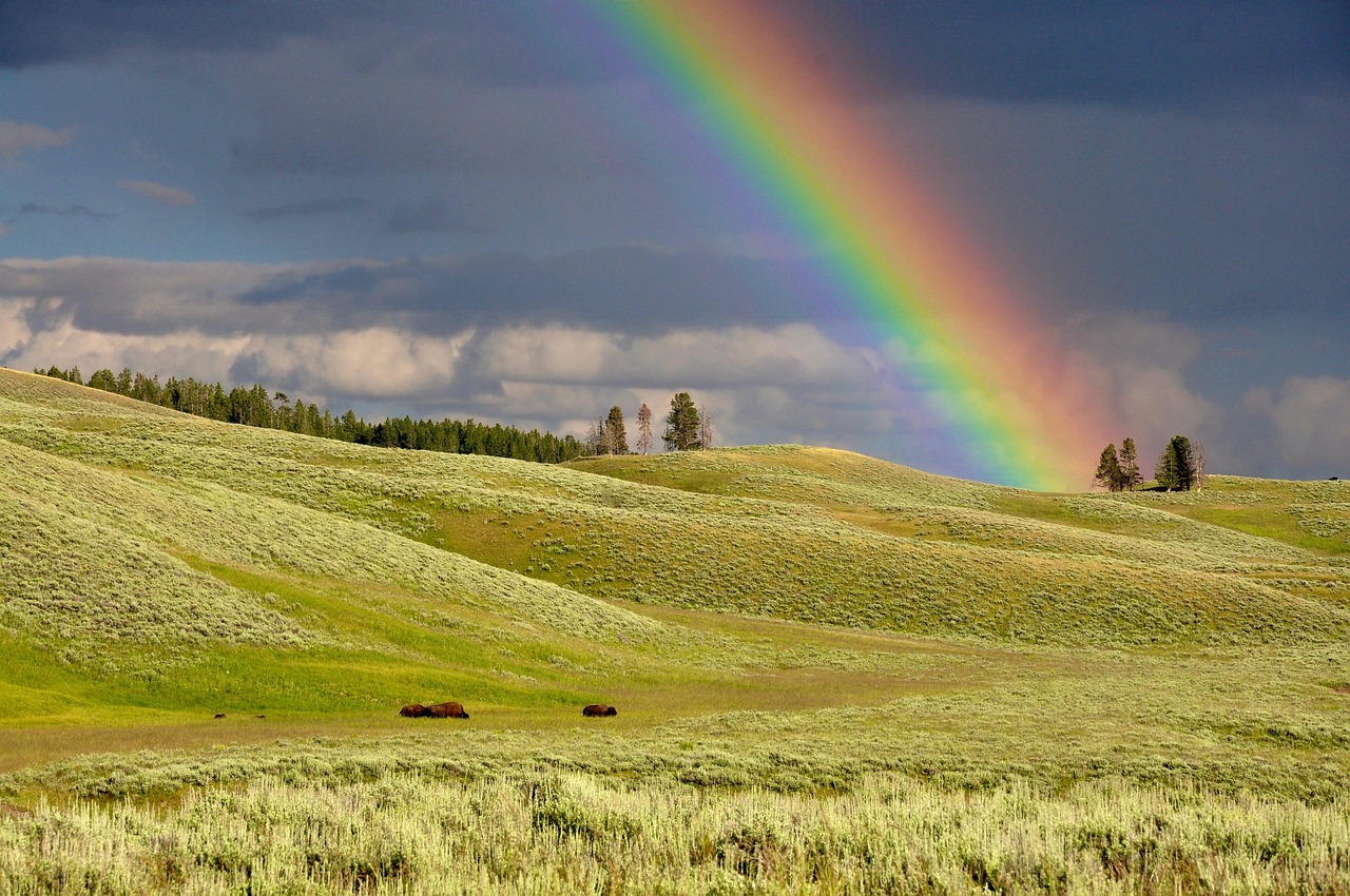 The Mysterious World of Supernumerary Rainbows (image credits: pixabay)
