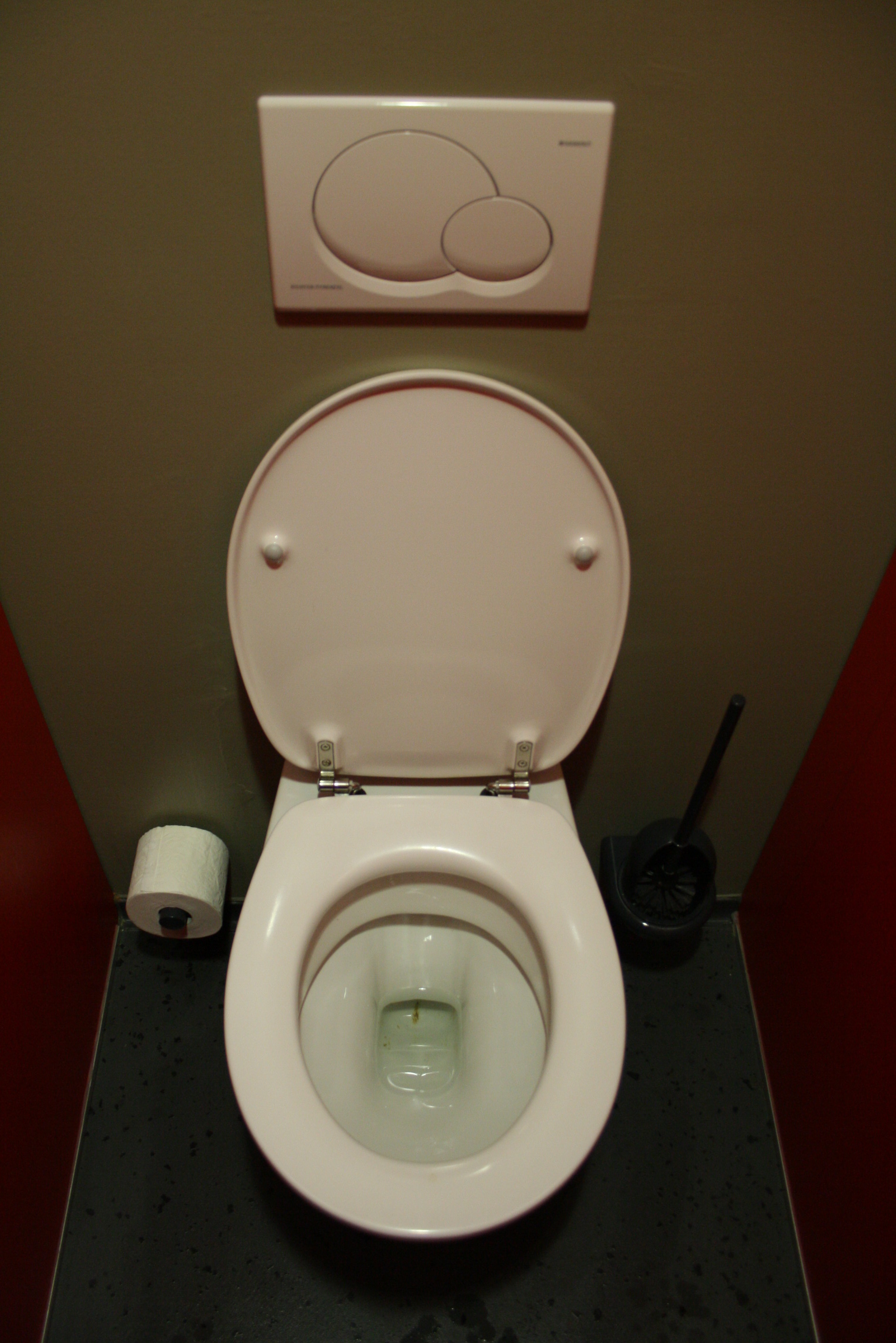 Upgrade Your Toilet to Stop Wasting Precious Water (image credits: wikimedia)