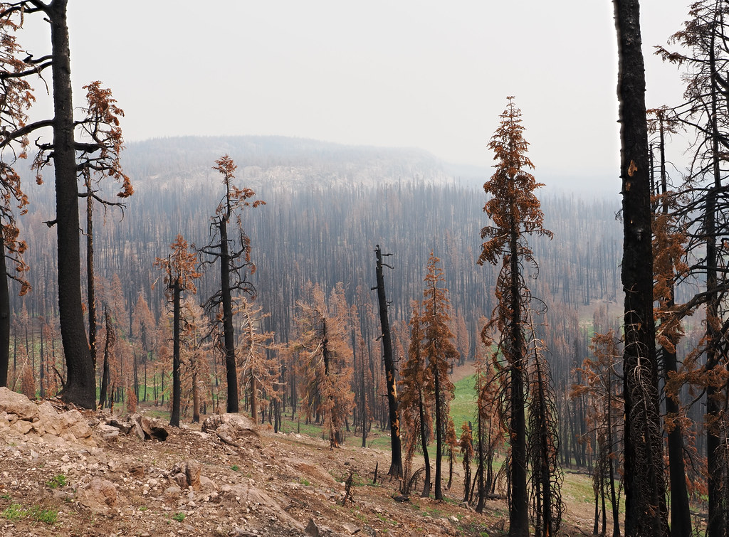 Greece: Ancient Landscapes in Flames (image credits: flickr)