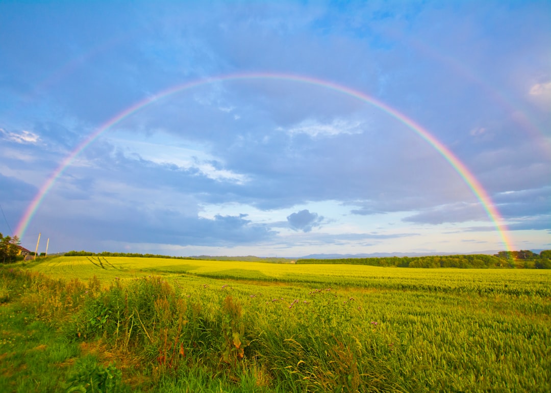 Why Every Rainbow Forms a Perfect Cone (image credits: unsplash)
