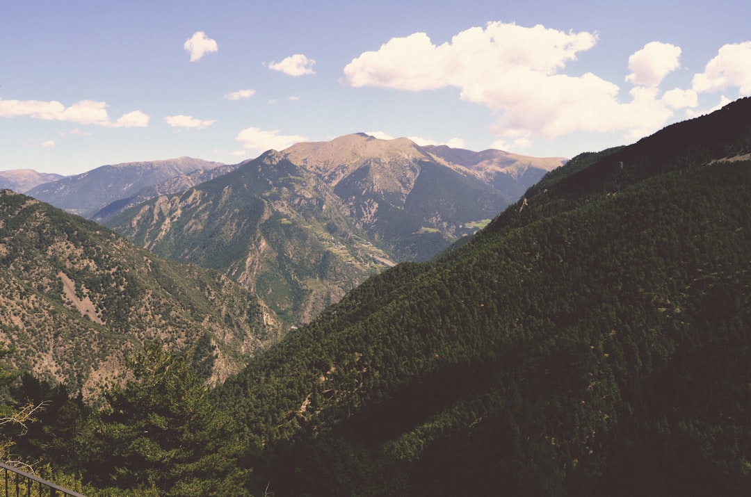 High Passes Going Bare (image credits: unsplash)