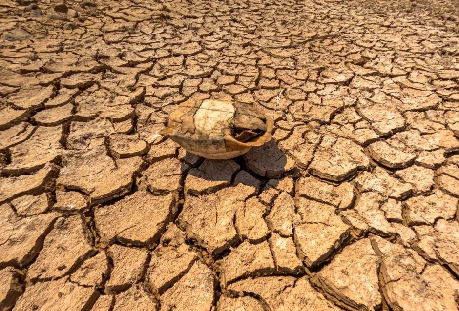 Southern Great Plains: heat, drought, and volatile weather (Image Credits: Pexels)