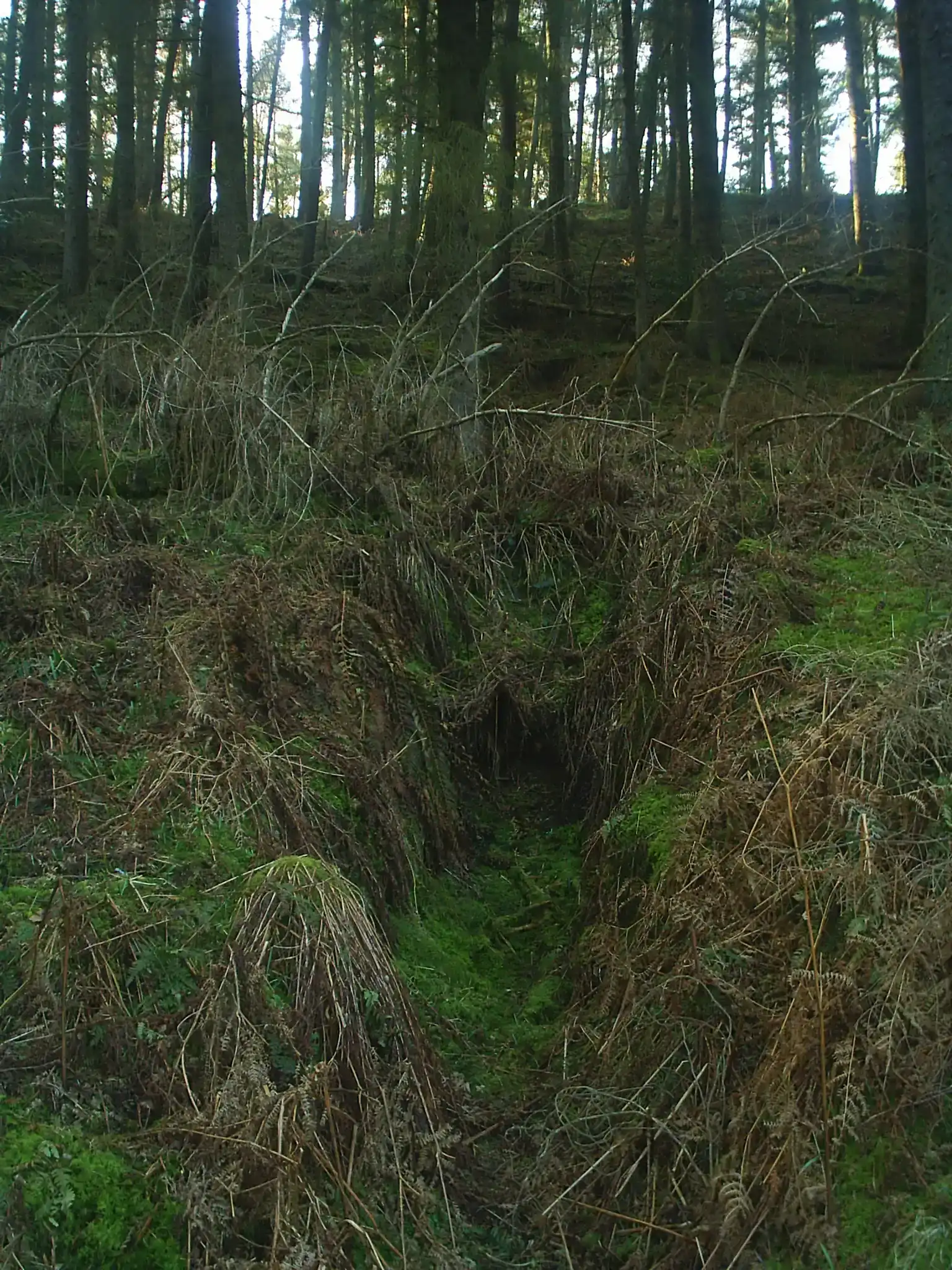 10. Former Mining and Extraction Zones (From geograph.org.uk, CC BY-SA 2.0)