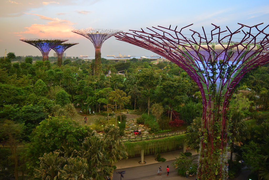 Inspiration from Australian Forests (image credits: flickr)