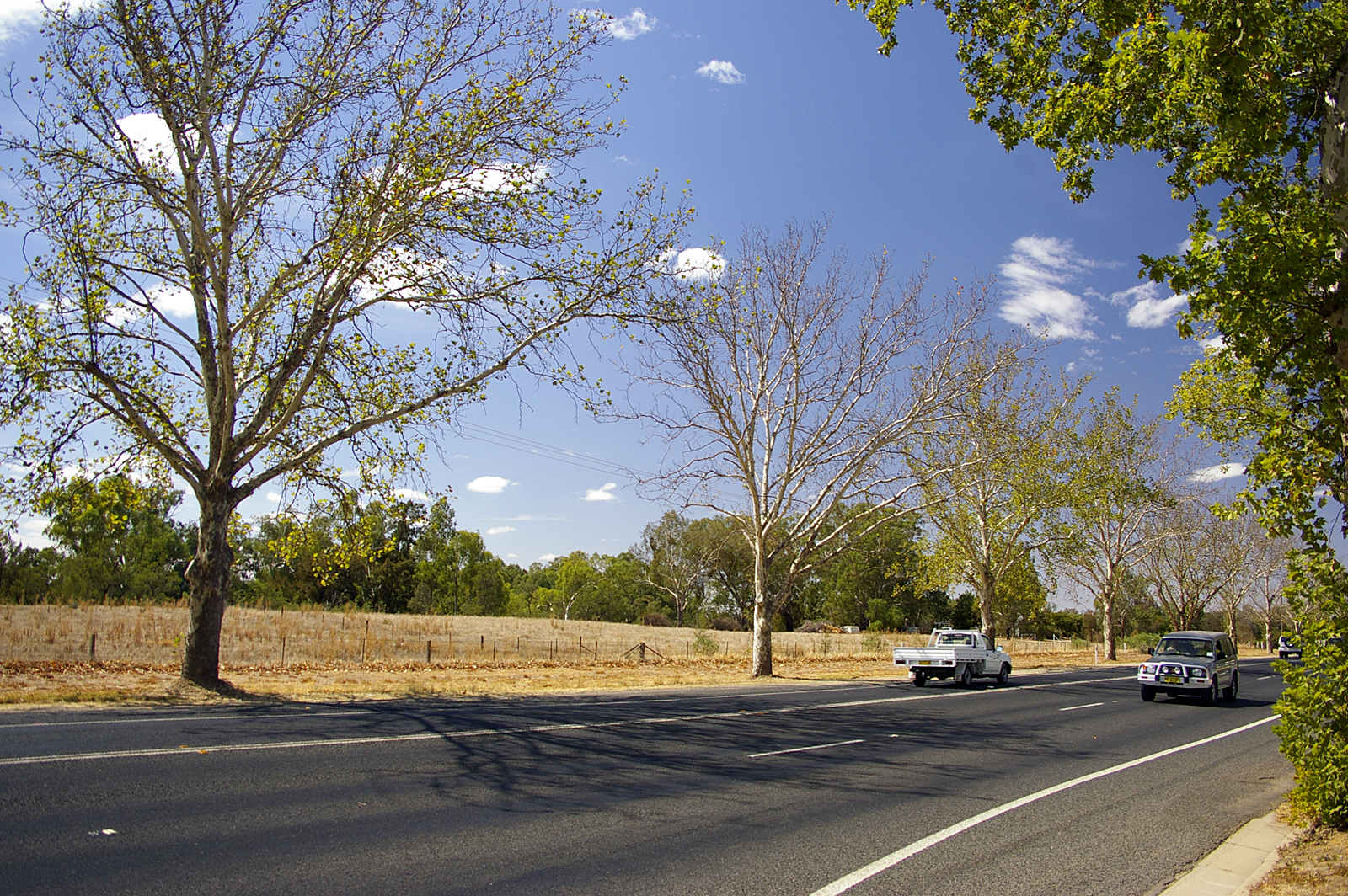 Heatwaves Striking With Unprecedented Frequency and Intensity (image credits: wikimedia)