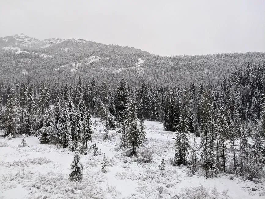 3. Montana (Image Credits: Pexels)