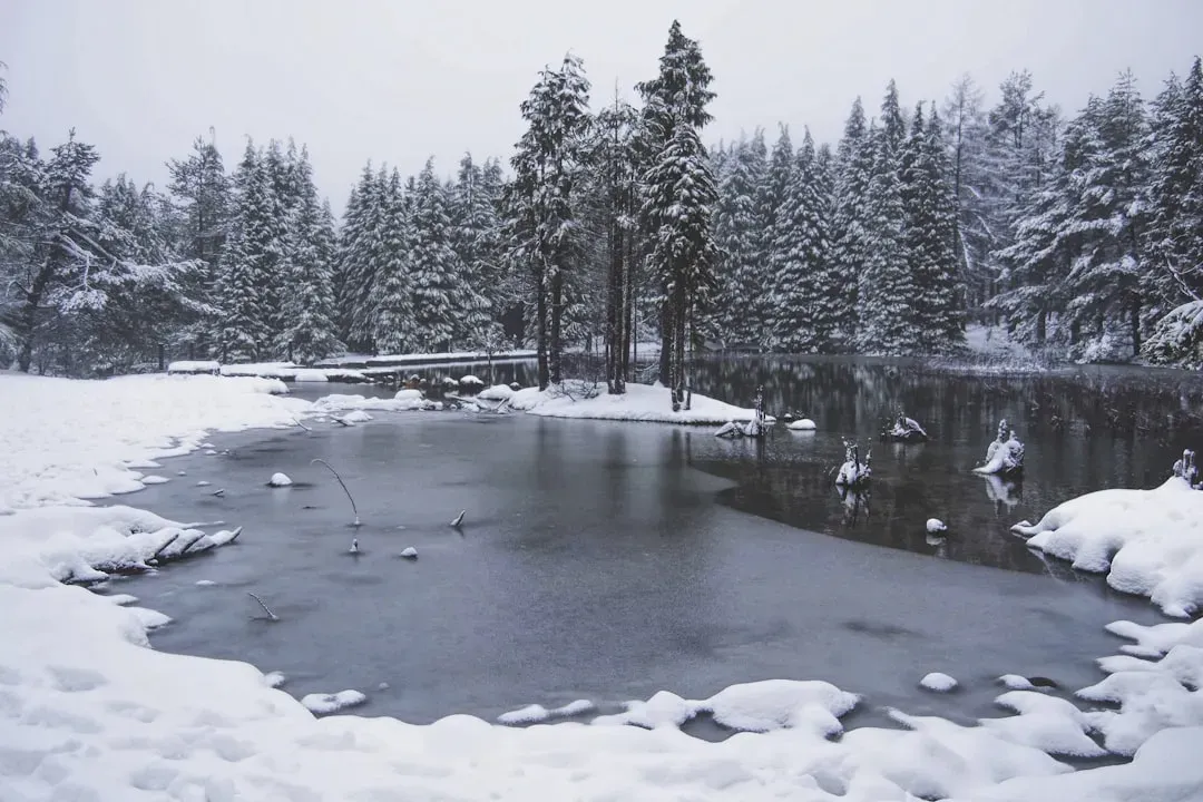 Buffalo, New York - Lake-Effect Snow on a Scale That Defies Logic (Image Credits: Unsplash)