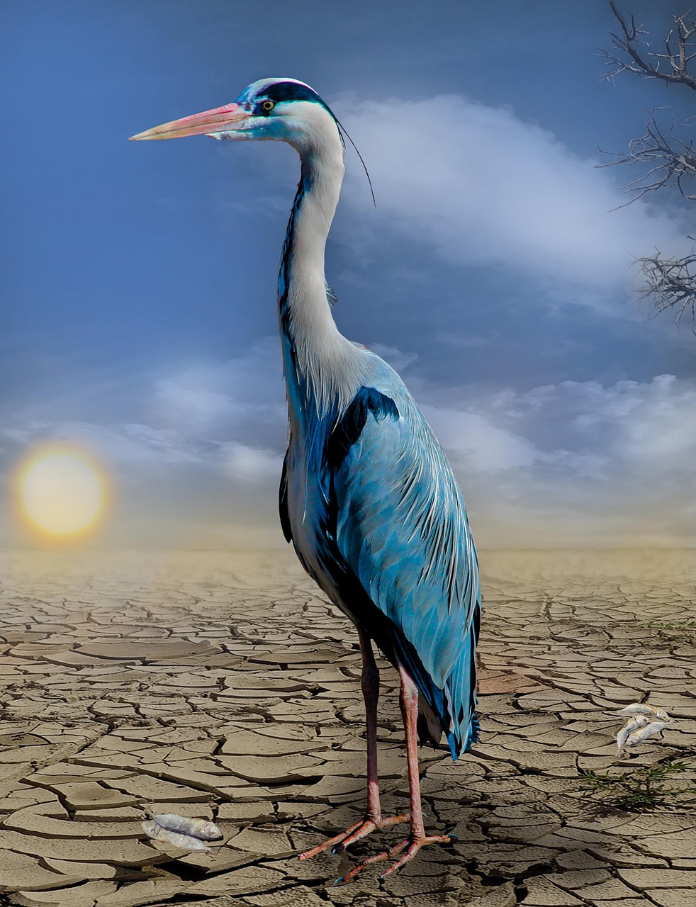 The Hot Model Controversy: When Climate Gets Too Spicy (image credits: pixabay)