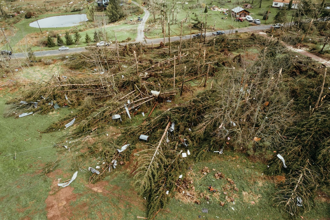 The Deadliest Tornadoes Pack the Biggest Punch (image credits: unsplash)