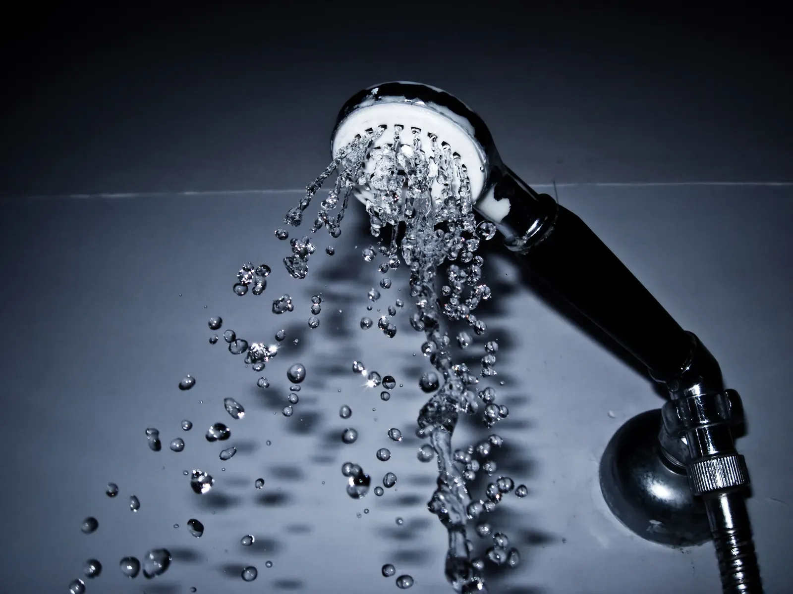 2. Swap old showerheads for WaterSense-labeled models (By JovanCormac, CC BY 2.0)