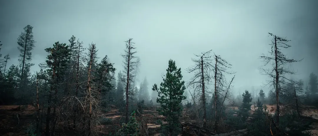 Final thoughts (Image Credits: Unsplash)