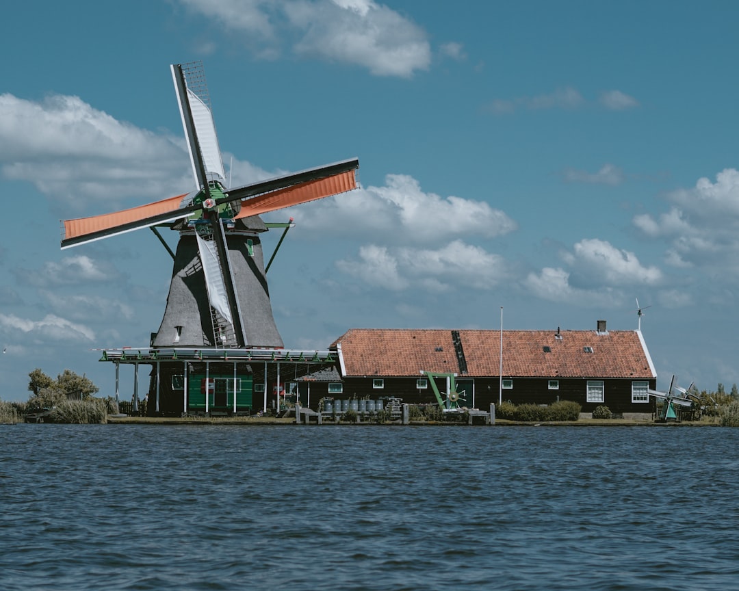 Environmental Integration Proves Compatibility (image credits: unsplash)