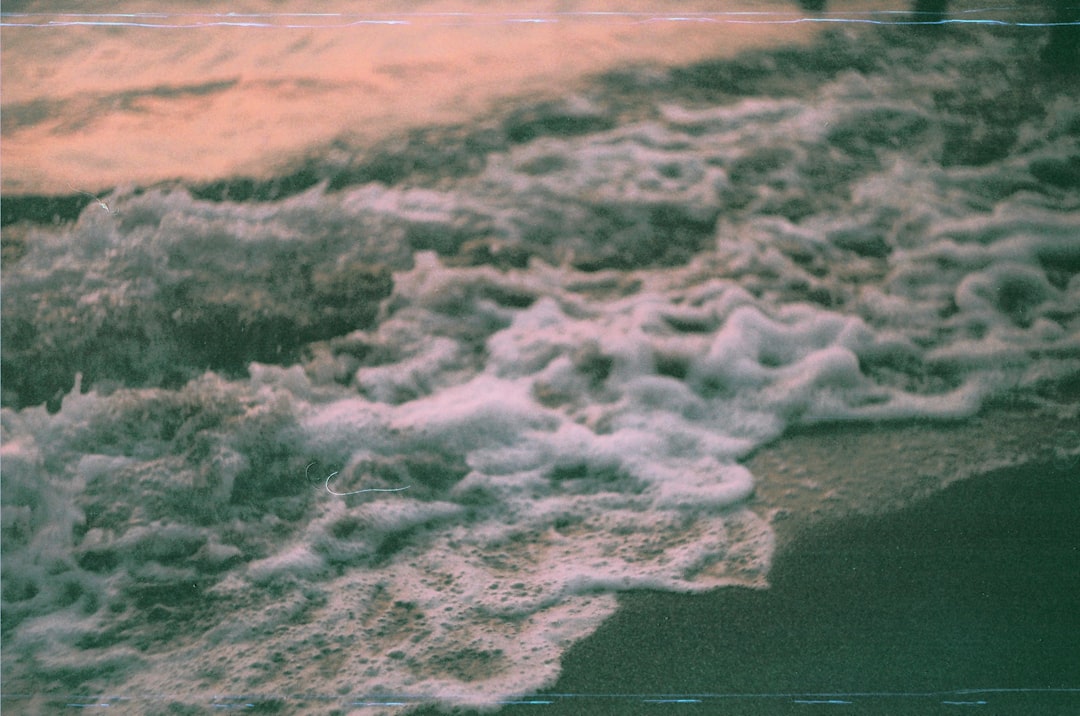 The Atlantic and Pacific Dance (image credits: unsplash)