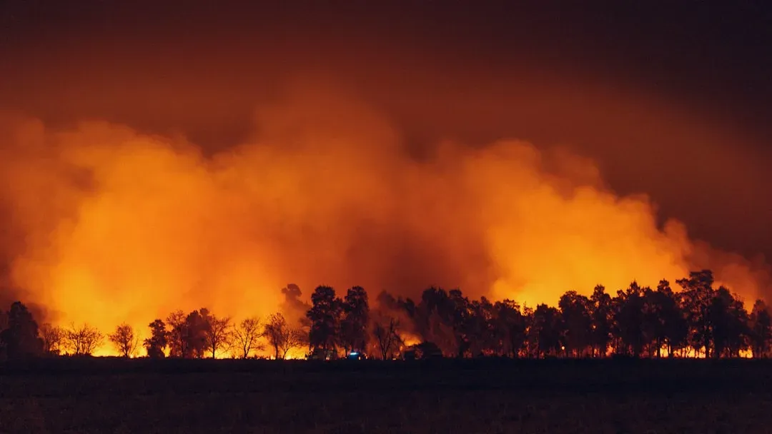 Southern California: A Region Defined by Fire and Fragility (Image Credits: Unsplash)