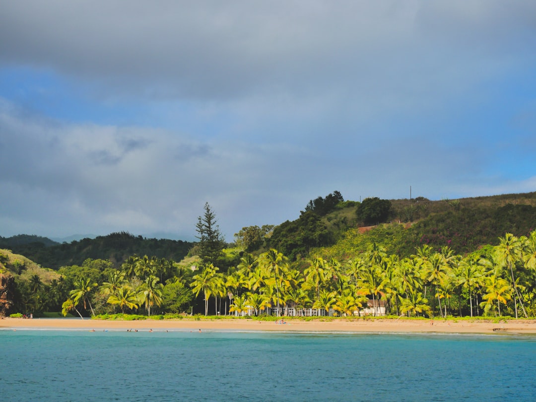 The Federal Court Decision Shakes the Torres Strait (image credits: unsplash)