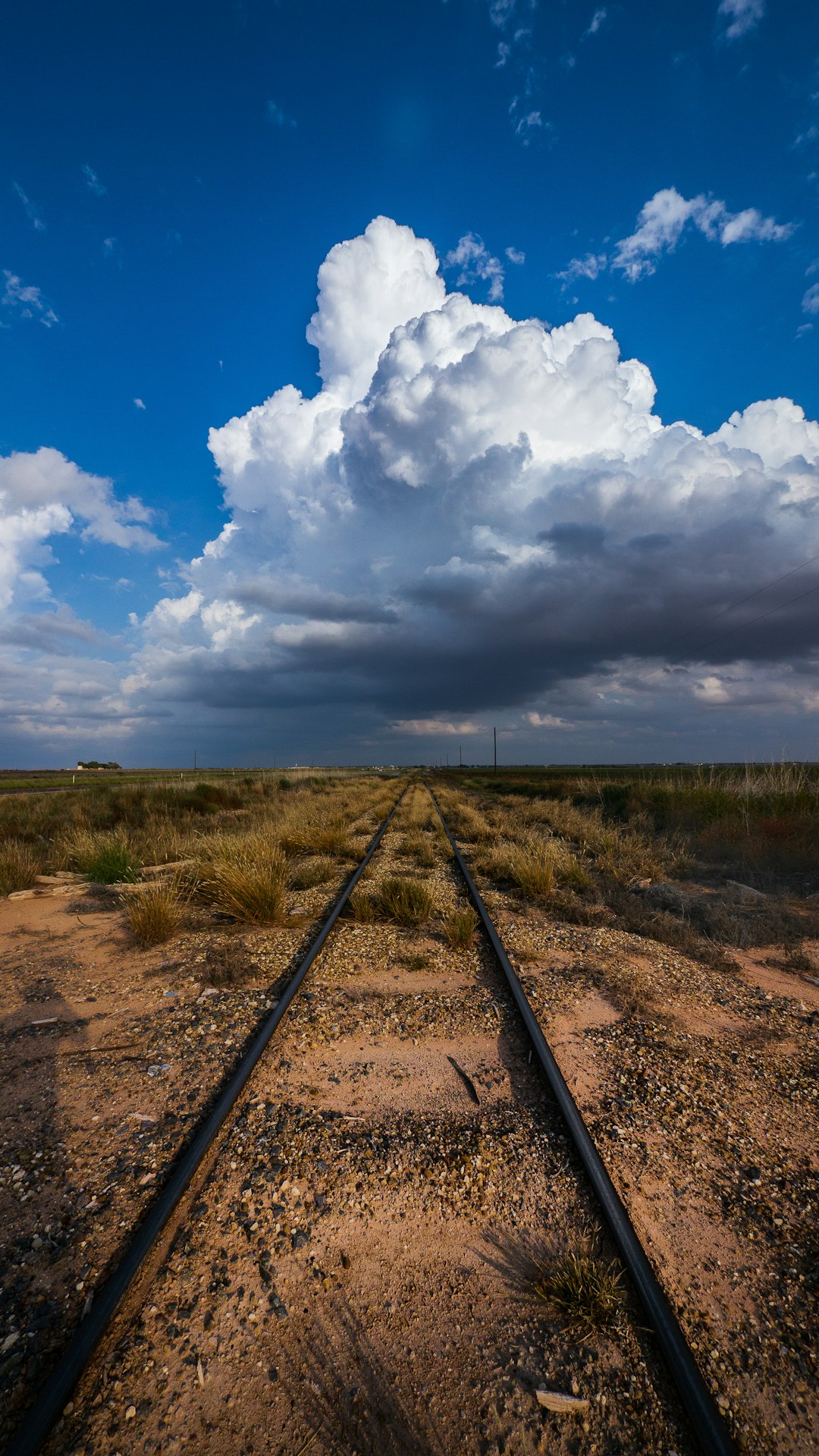 Reading Clouds for Weather Prediction (image credits: unsplash)