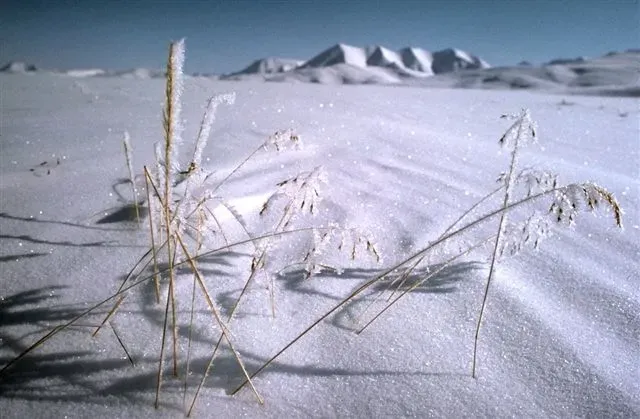 Northern and Eastern Europe, Including Scandinavia (Winter ice, Arctic NWR

Uploaded by Dolovis, Public domain)